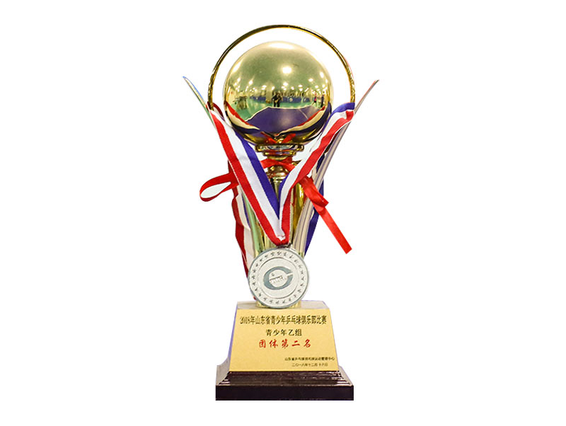 2018年山东省青少年乒乓球俱乐部比赛青少年乙组